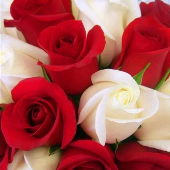 Au Noír men's shirt size 5 very nice - Picture 4 of 8